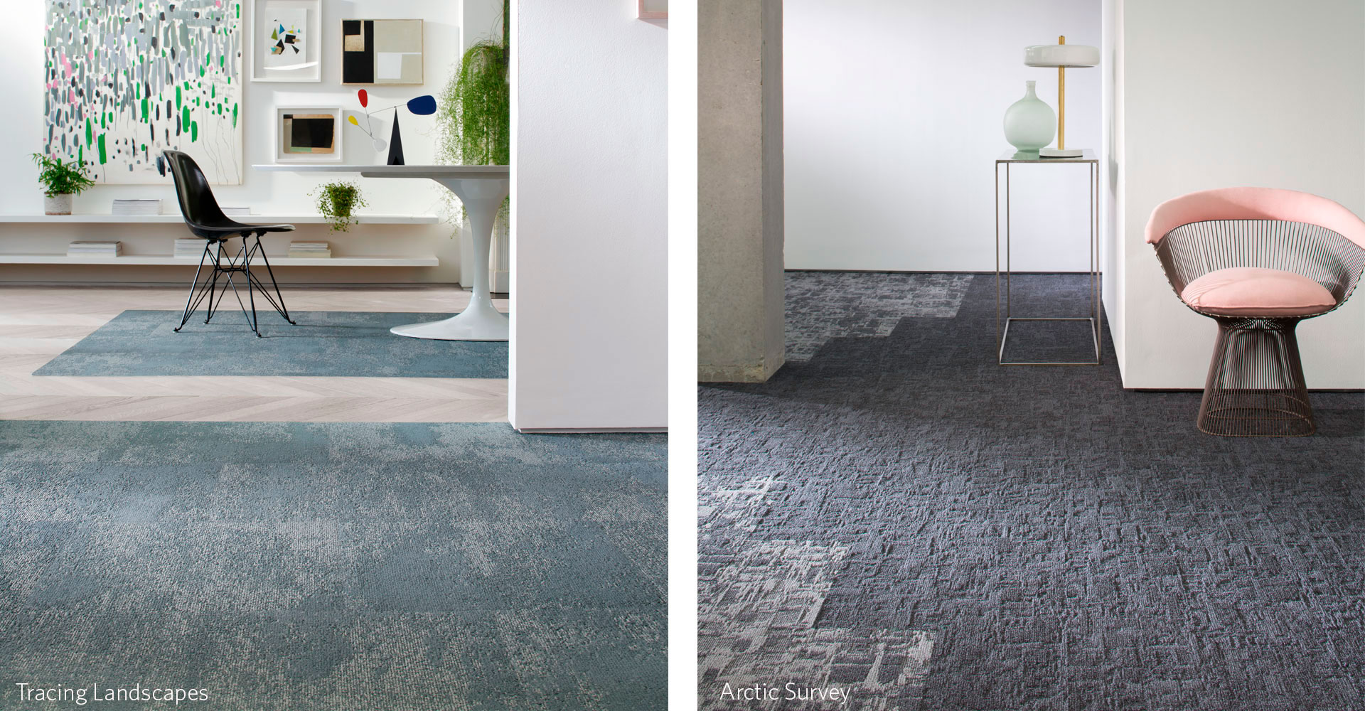 Tracing Landscapes and Arctic Survey