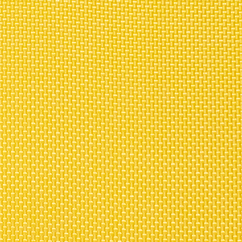 Agilus sample yellow