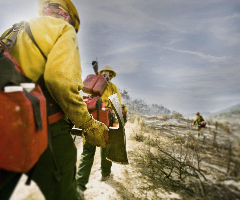Wildland Firefighting
