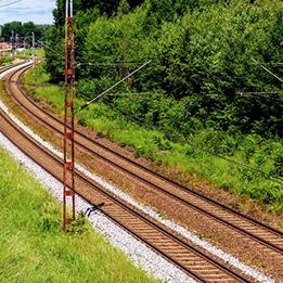 Photo of railroad tracks bordered by greenery